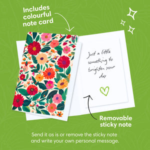 Cheerful-Gerberas-PetalPal