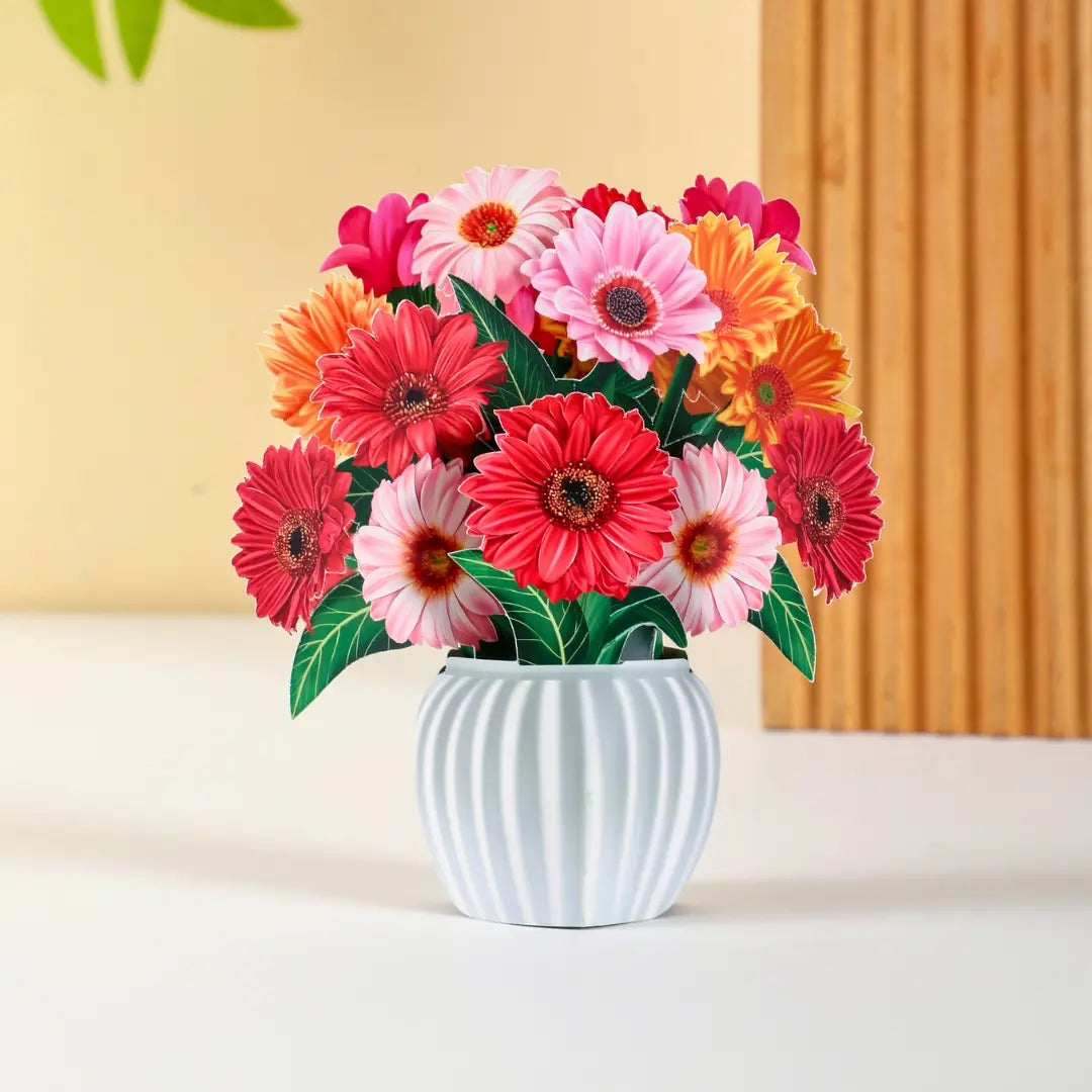 Mini Cheerful Gerberas PetalPal