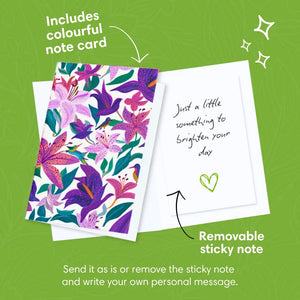 Spotted-Lilies-PetalPal