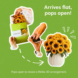 Sunflower-Smiles-PetalPal