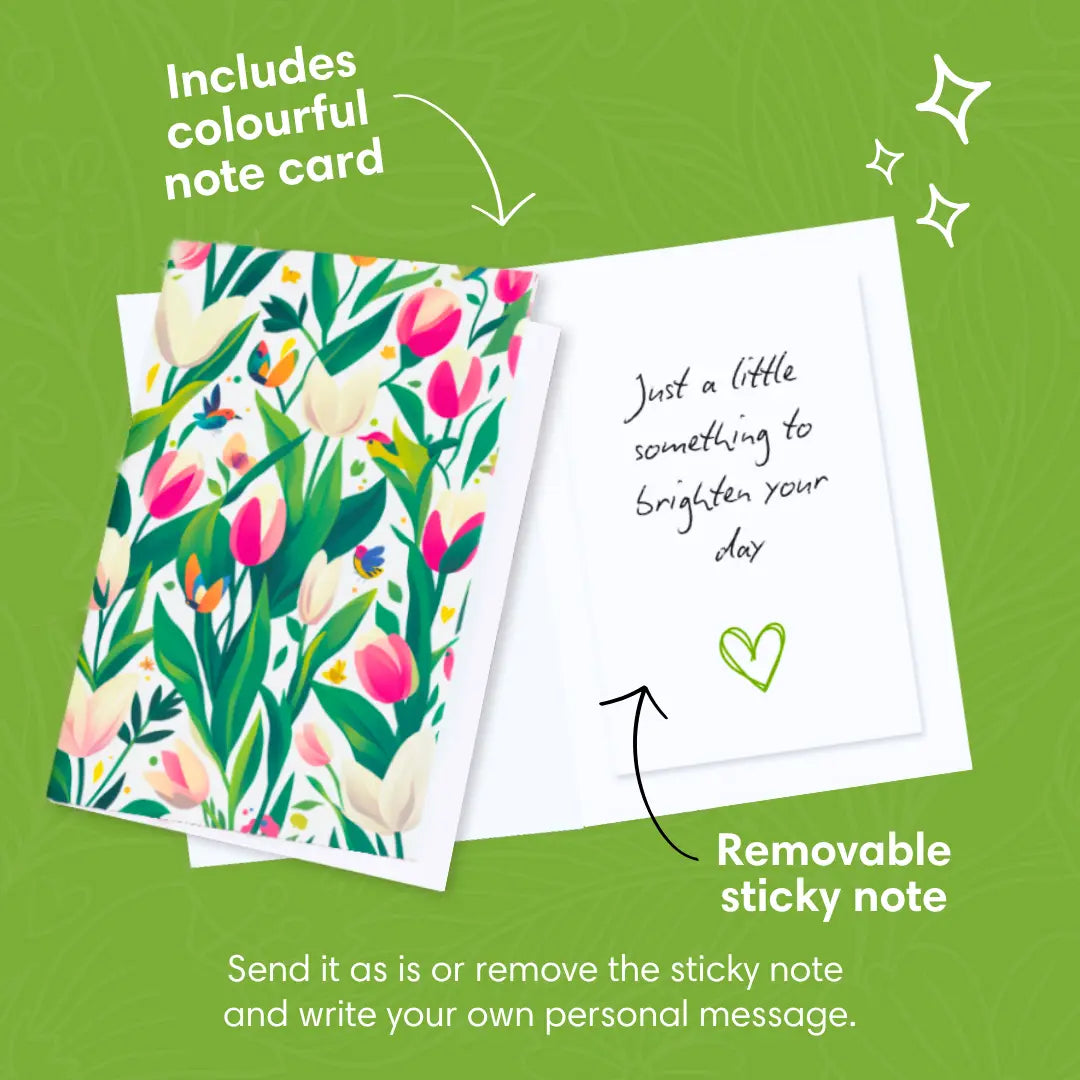 Tulip-Kisses-PetalPal