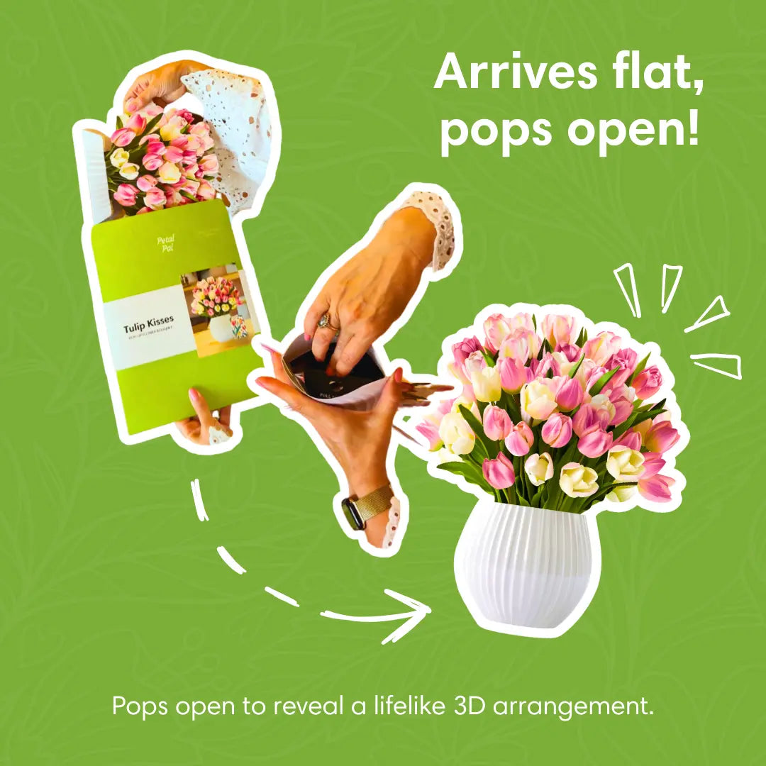 Tulip-Kisses-PetalPal