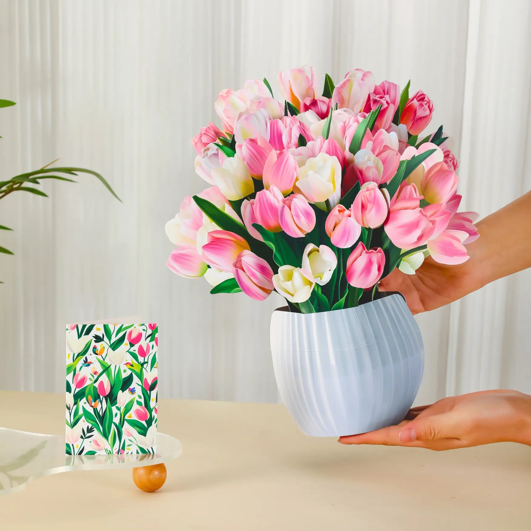 Tulip-Kisses-PetalPal