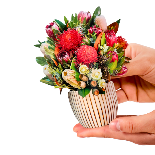 <h2><em>PetalPal</em> vs Regular Flowers</h2>