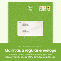 Mail-it-as-a-regular-envelope-[pl:7ea20d1476b6]