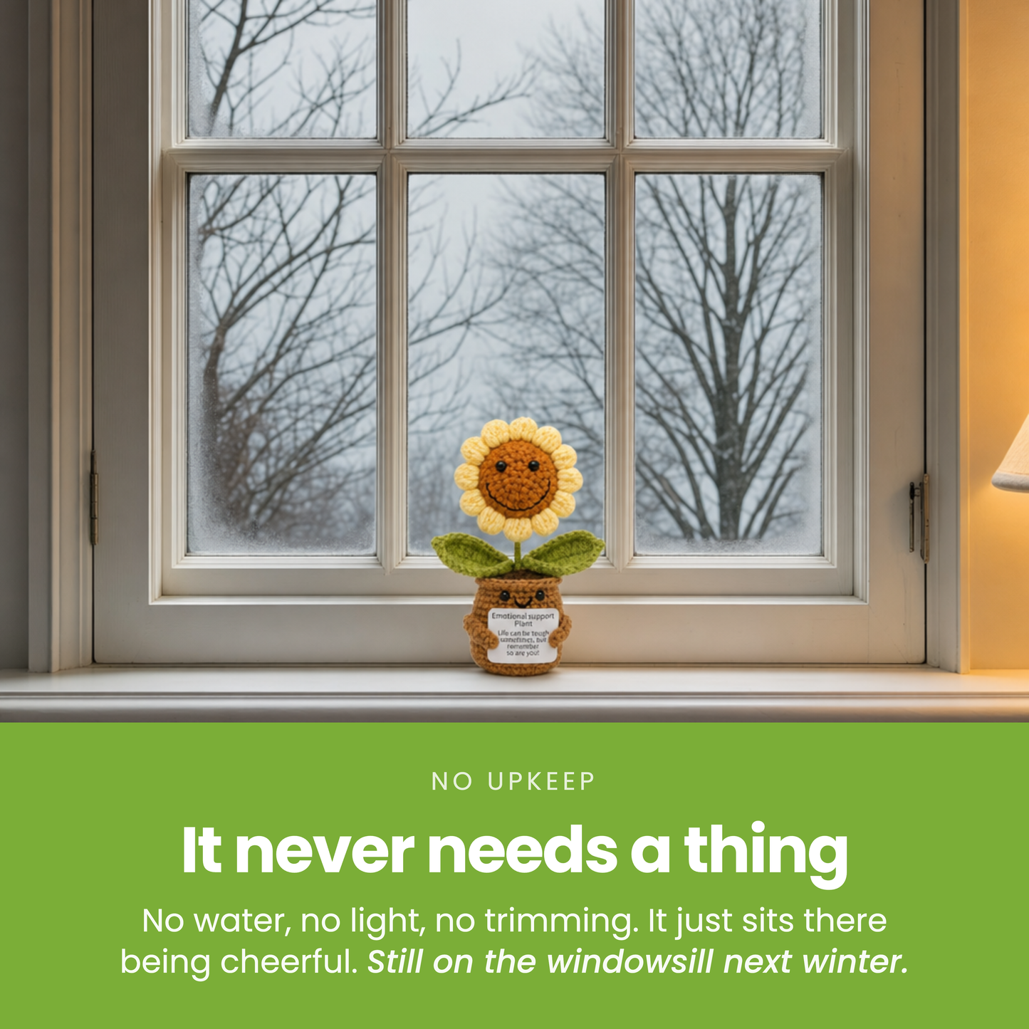It never needs a thing [pl:2f758baf68cc]