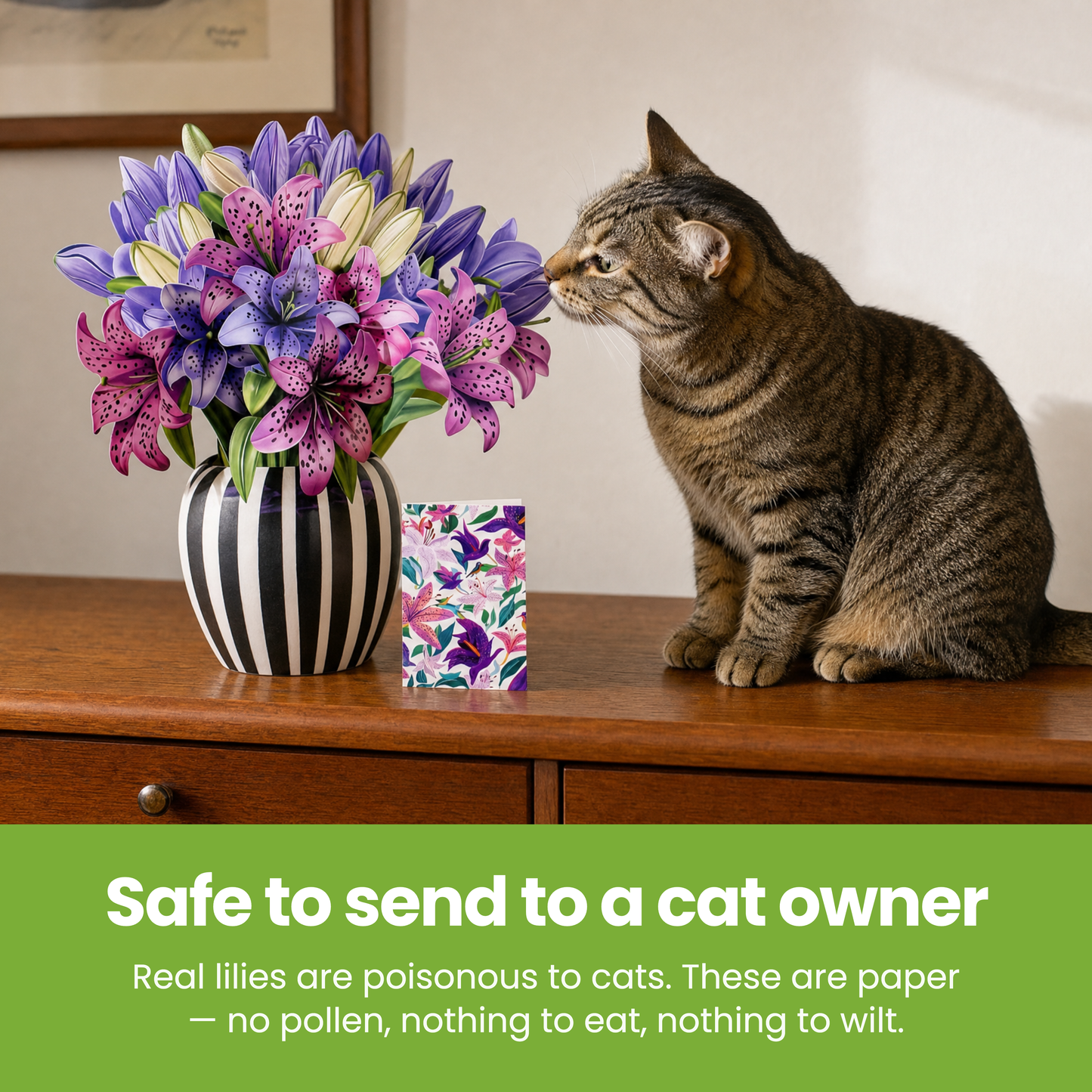 Safe to send to a cat owner [pl:8edc07535a1b]