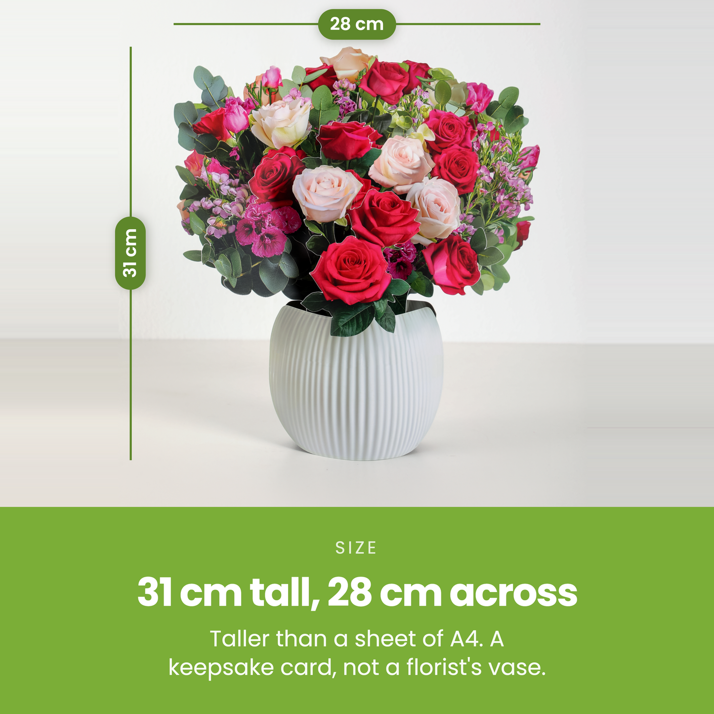 31 cm tall, 28 cm across [pl:4c4d357345d5]