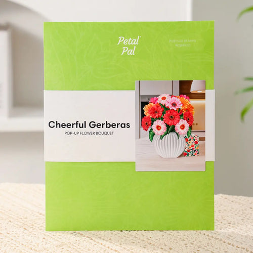 Cheerful Gerberas Pop-Up Bouquet