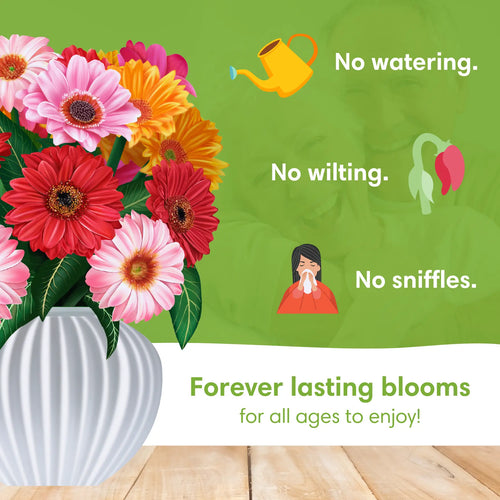Cheerful Gerberas Pop-Up Bouquet