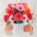 ช่อดอกไม้ป๊อปอัพ Gerberas ที่ร่าเริง