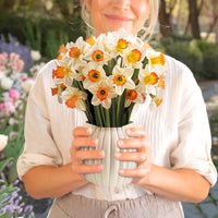 Daffodil-Bloom-PetalPal