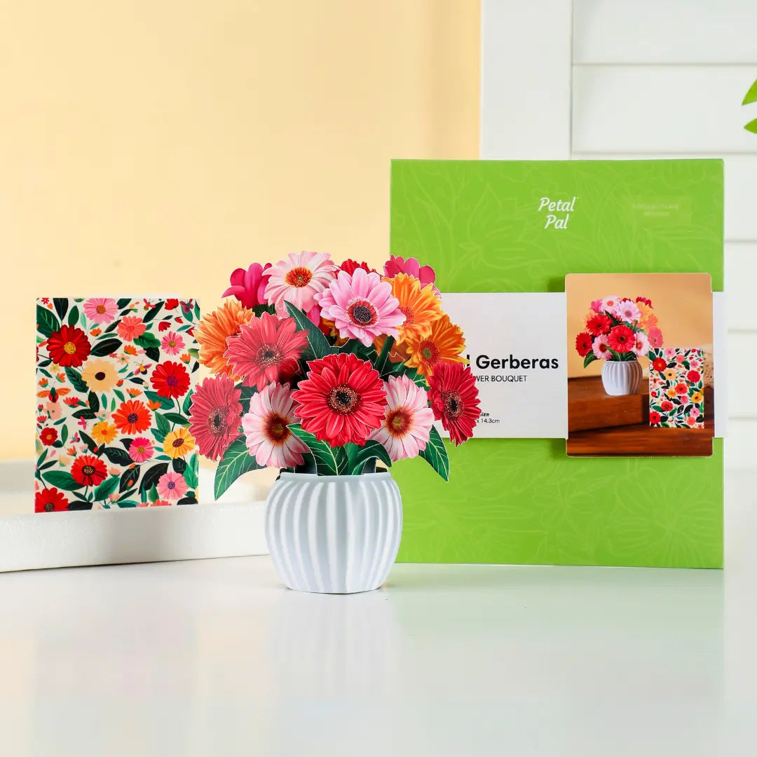 Mini Cheerful Gerberas PetalPal