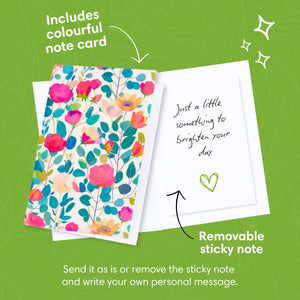 Rosy-Radiance-PetalPal