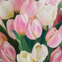 Mini tulip besos ramo emergente